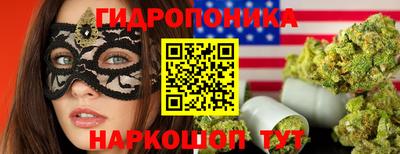 прущие крисы Пугачёв