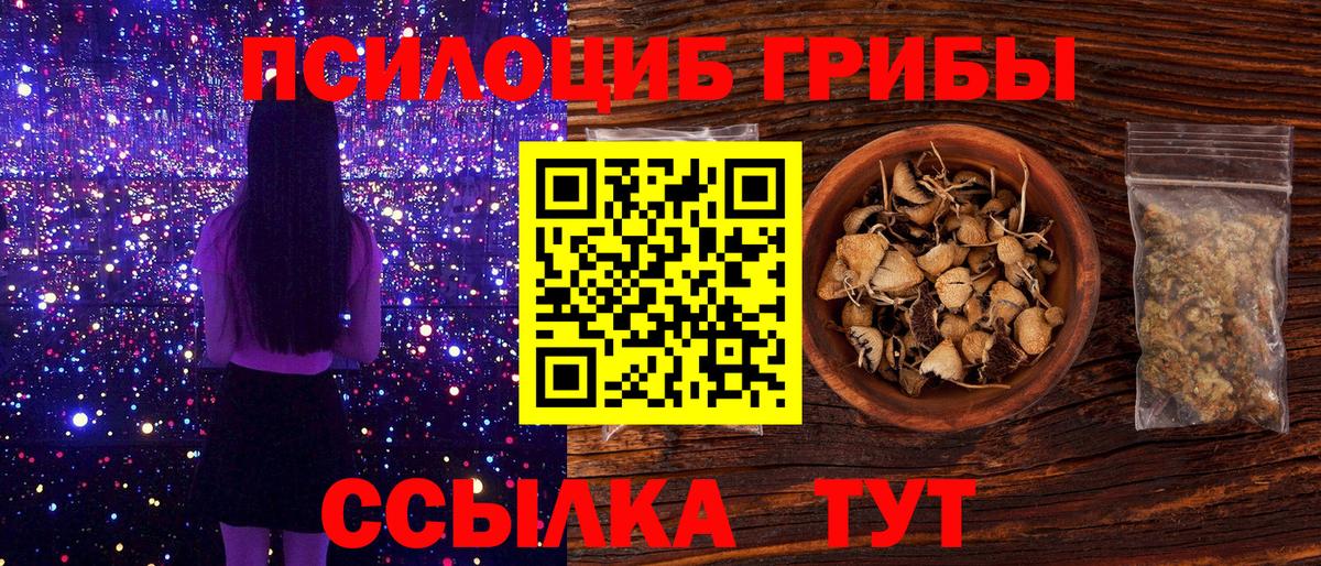Псилоцибиновые грибы прущие грибы Сертолово