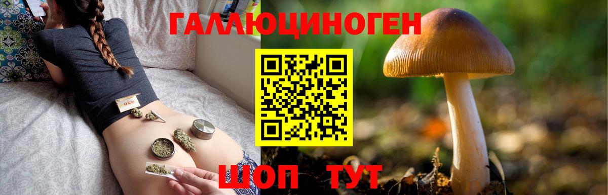 Сертолово  Псилоцибиновые грибы ЛСД  Вход с VPN 