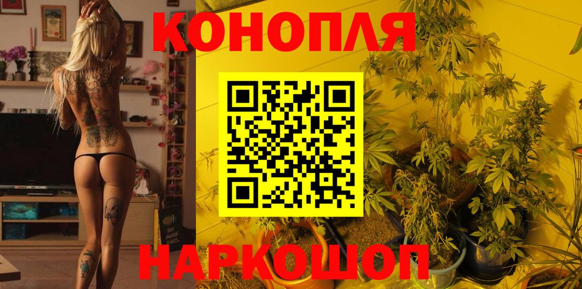 Шишки марихуана Bruce Banner  Вход с VPN  Сертолово  Конопля семена  Бошки марихуана Bruce Banner  Конопля семена 